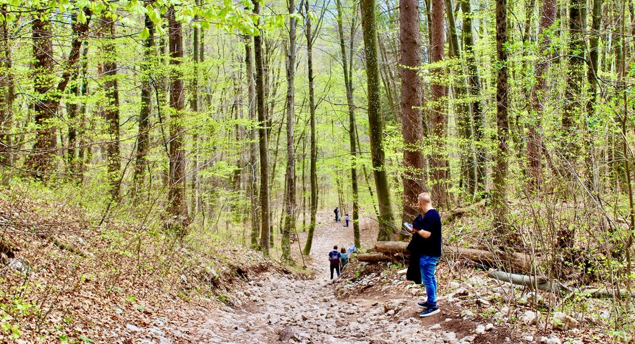 Wandelmogelijkheden omgeving Wandelmogelijkheden omgeving